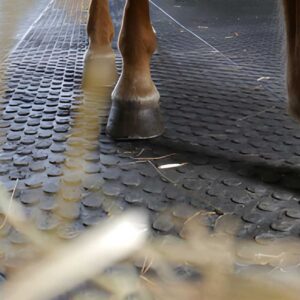 horse mat